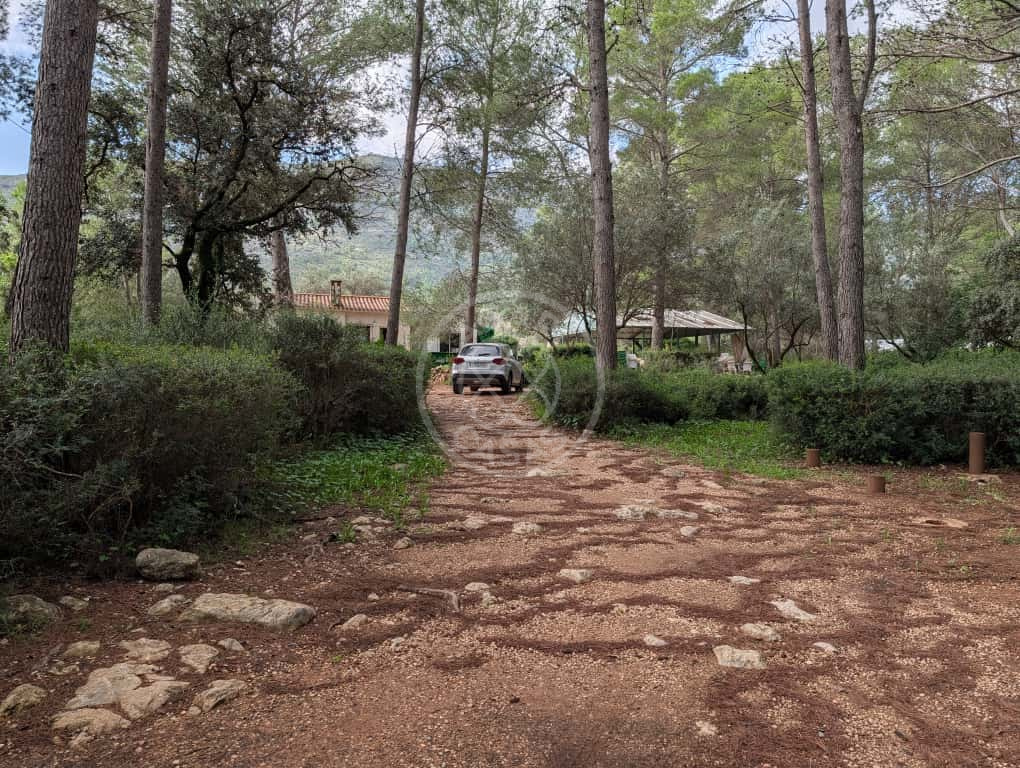 Terreno con casa y negocio activo en Parcent