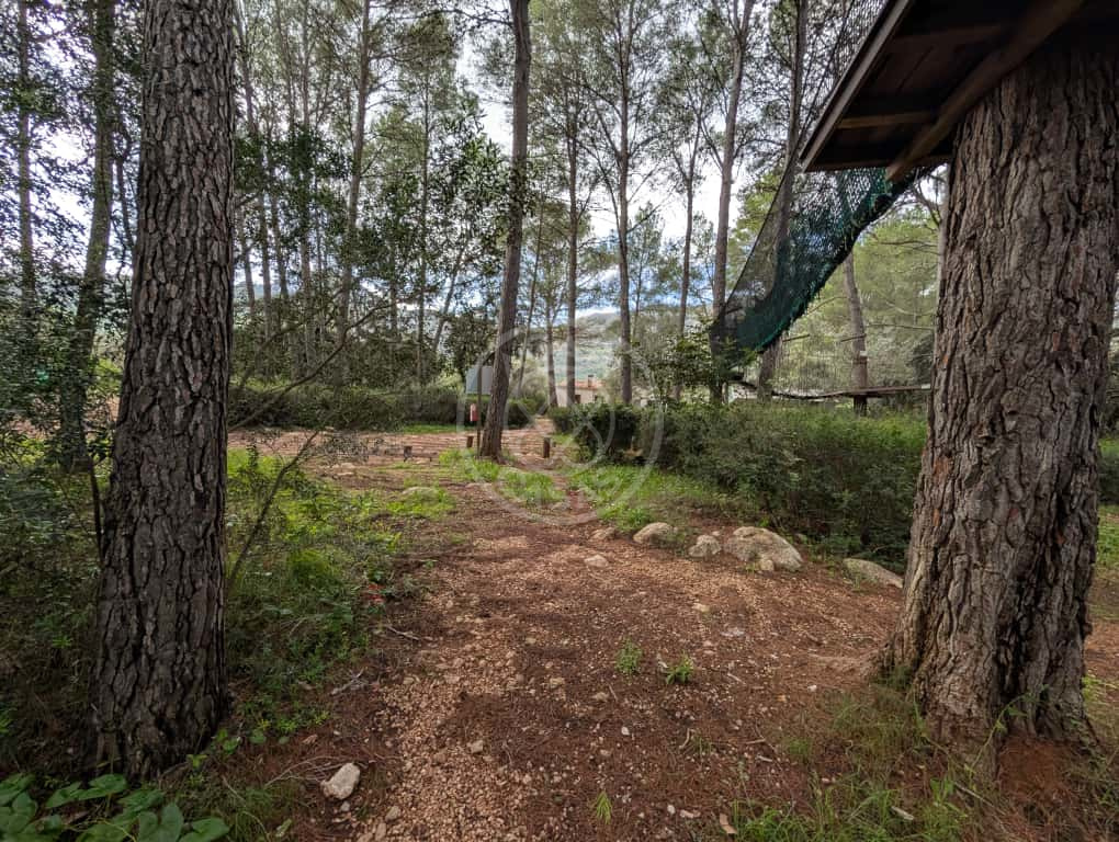 Terreno con casa y negocio activo en Parcent