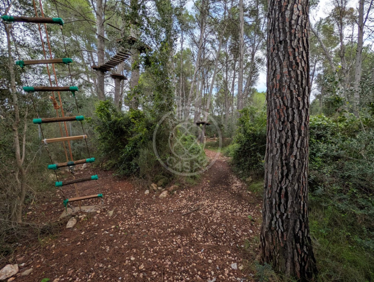 Terreno con casa y negocio activo en Parcent