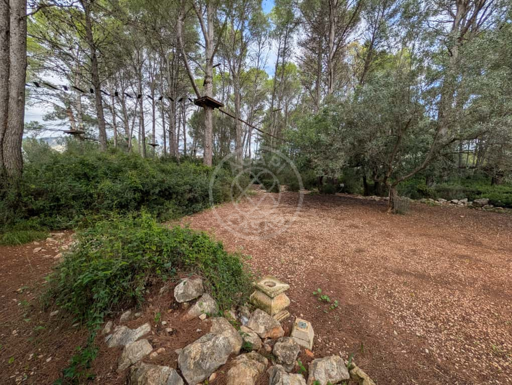 Terreno con casa y negocio activo en Parcent