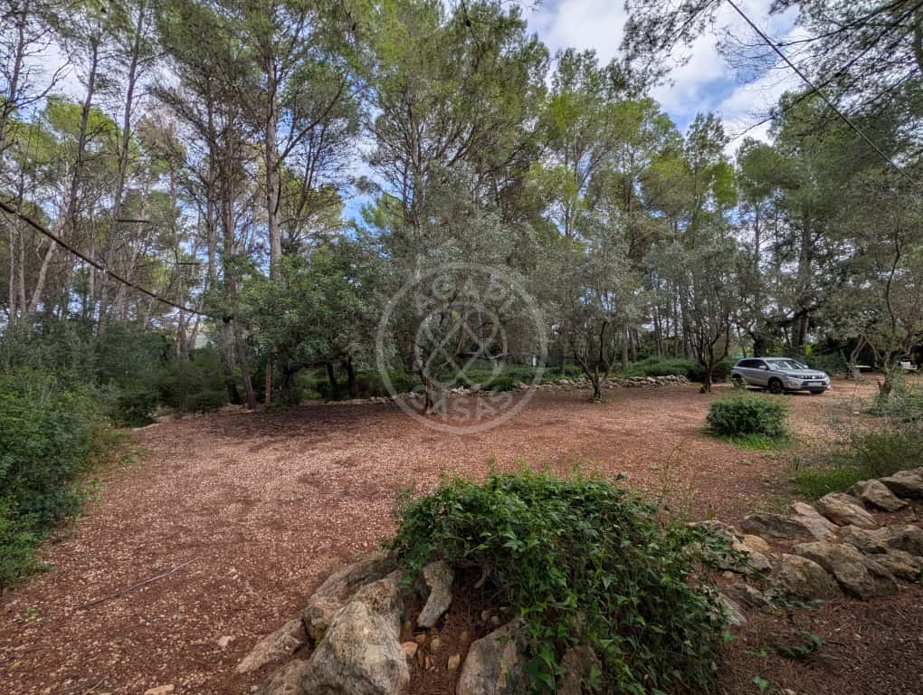 Terreno con casa y negocio activo en Parcent