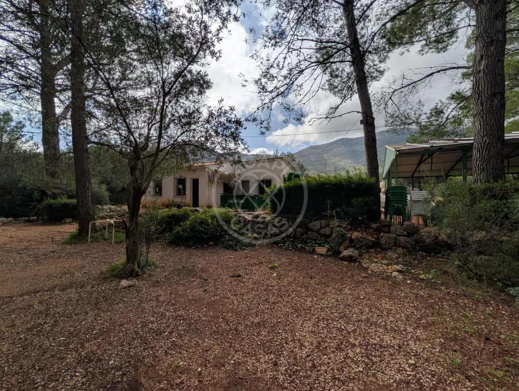 Terreno con casa y negocio activo en Parcent