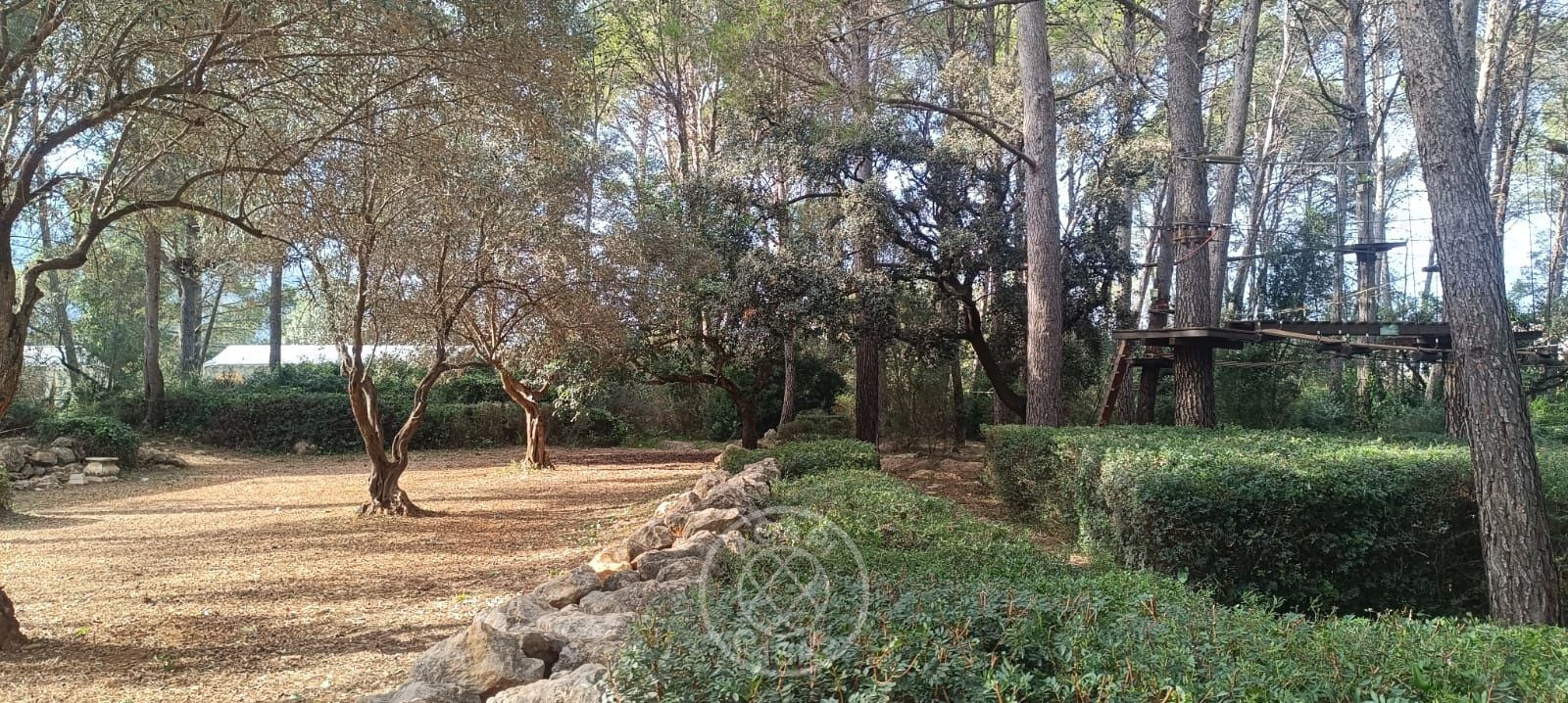 Terreno con casa y negocio activo en Parcent