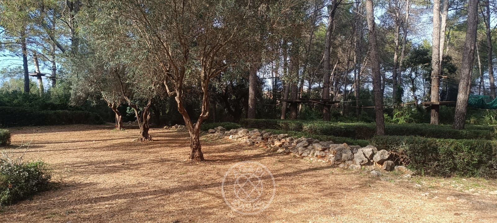 Terreno con casa y negocio activo en Parcent