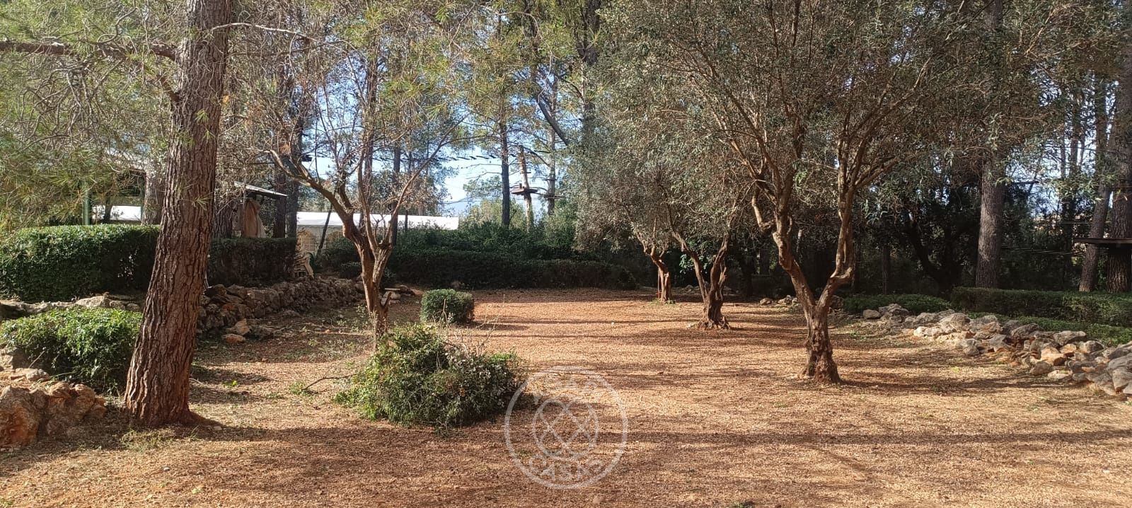 Terreno con casa y negocio activo en Parcent