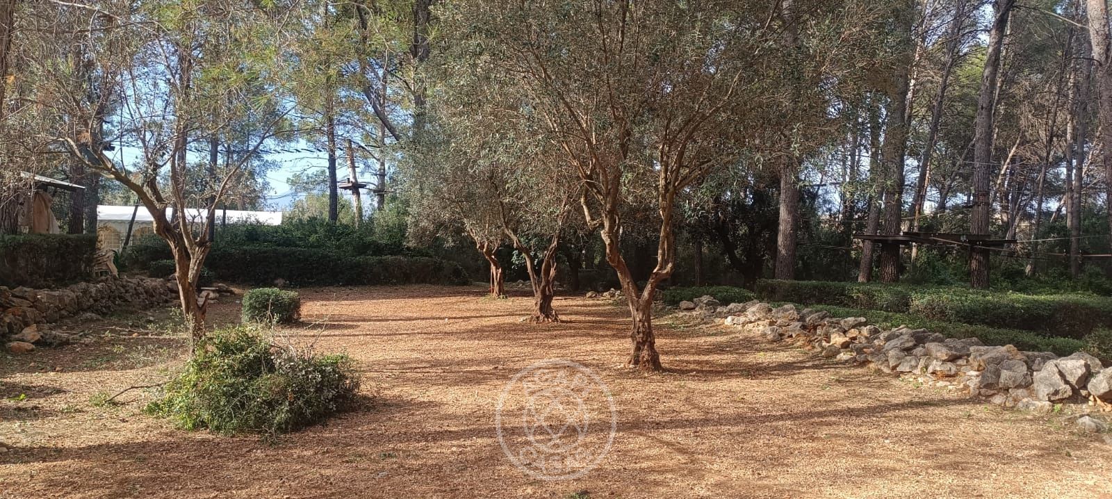 Terreno con casa y negocio activo en Parcent