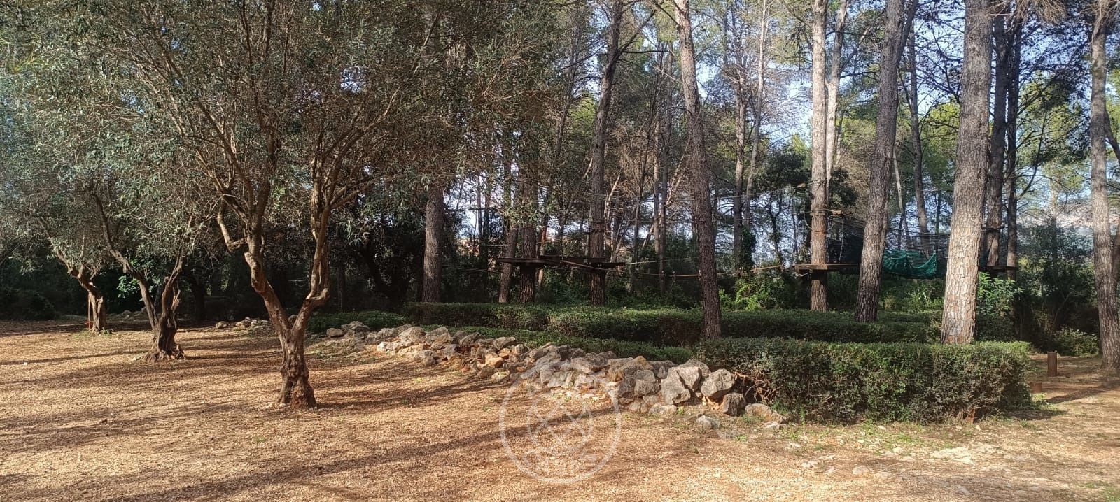 Terreno con casa y negocio activo en Parcent