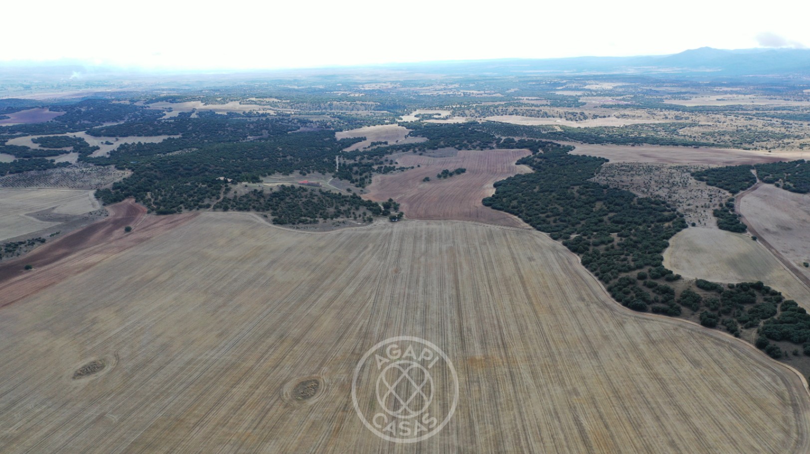 Exclusiva Finca de Lujo con Producción de Trufa en Aragón