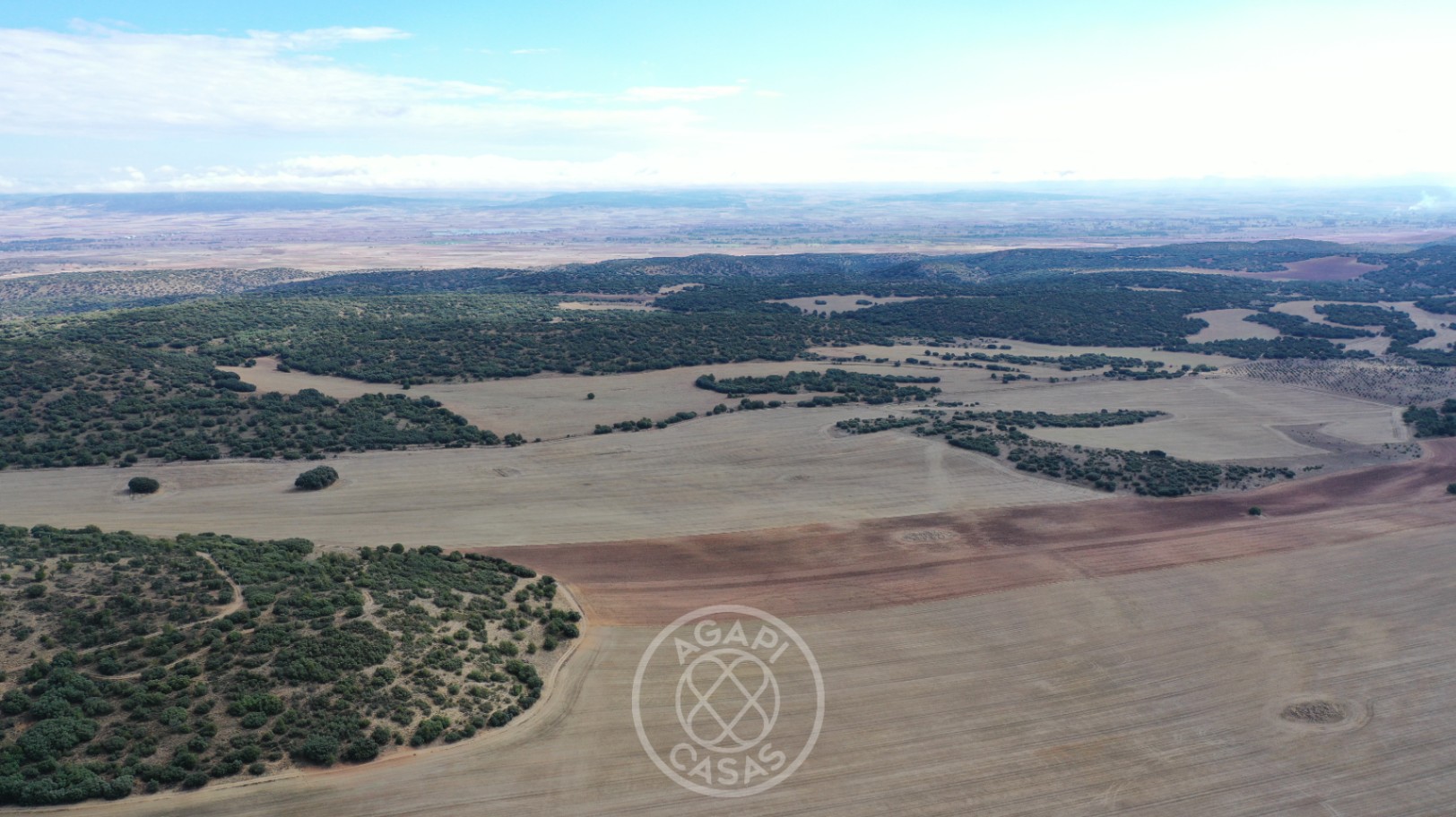 Exclusiva Finca de Lujo con Producción de Trufa en Aragón