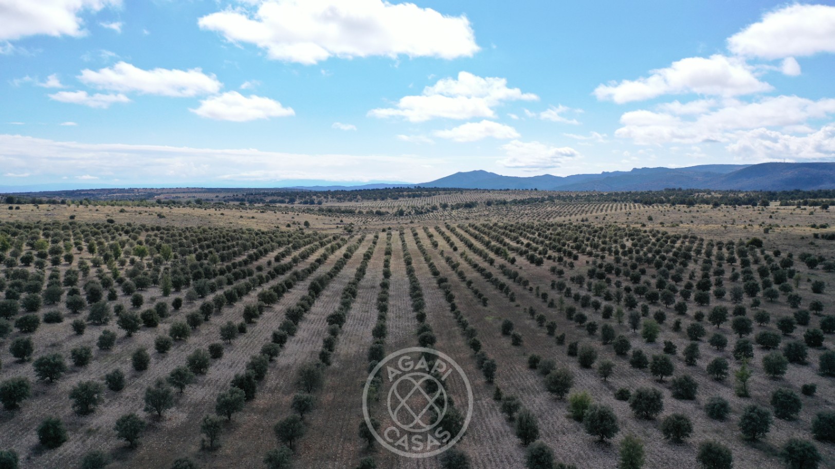 Exclusiva Finca de Lujo con Producción de Trufa en Aragón