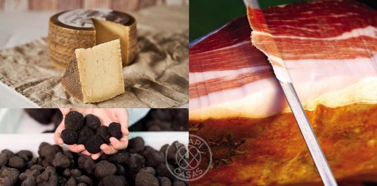 Exclusiva Finca de Lujo con Producción de Trufa en Aragón