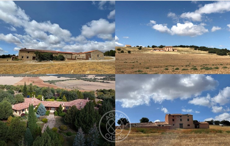 Exclusiva Finca de Lujo con Producción de Trufa en Aragón