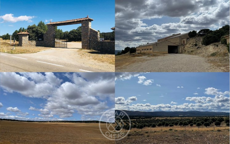 Exclusiva Finca de Lujo con Producción de Trufa en Aragón