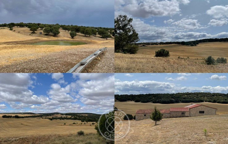 Exclusiva Finca de Lujo con Producción de Trufa en Aragón