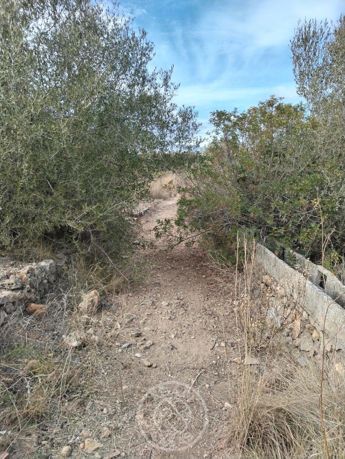 Parcela soleada con gran privacidad y vistas naturales en Murla
