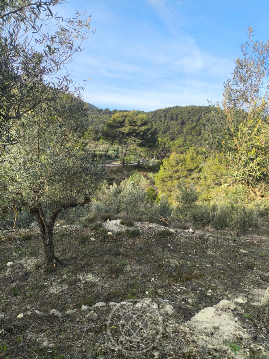 Encantadora Parcela con Casita en Castell de Castells Rodeada de Naturaleza
