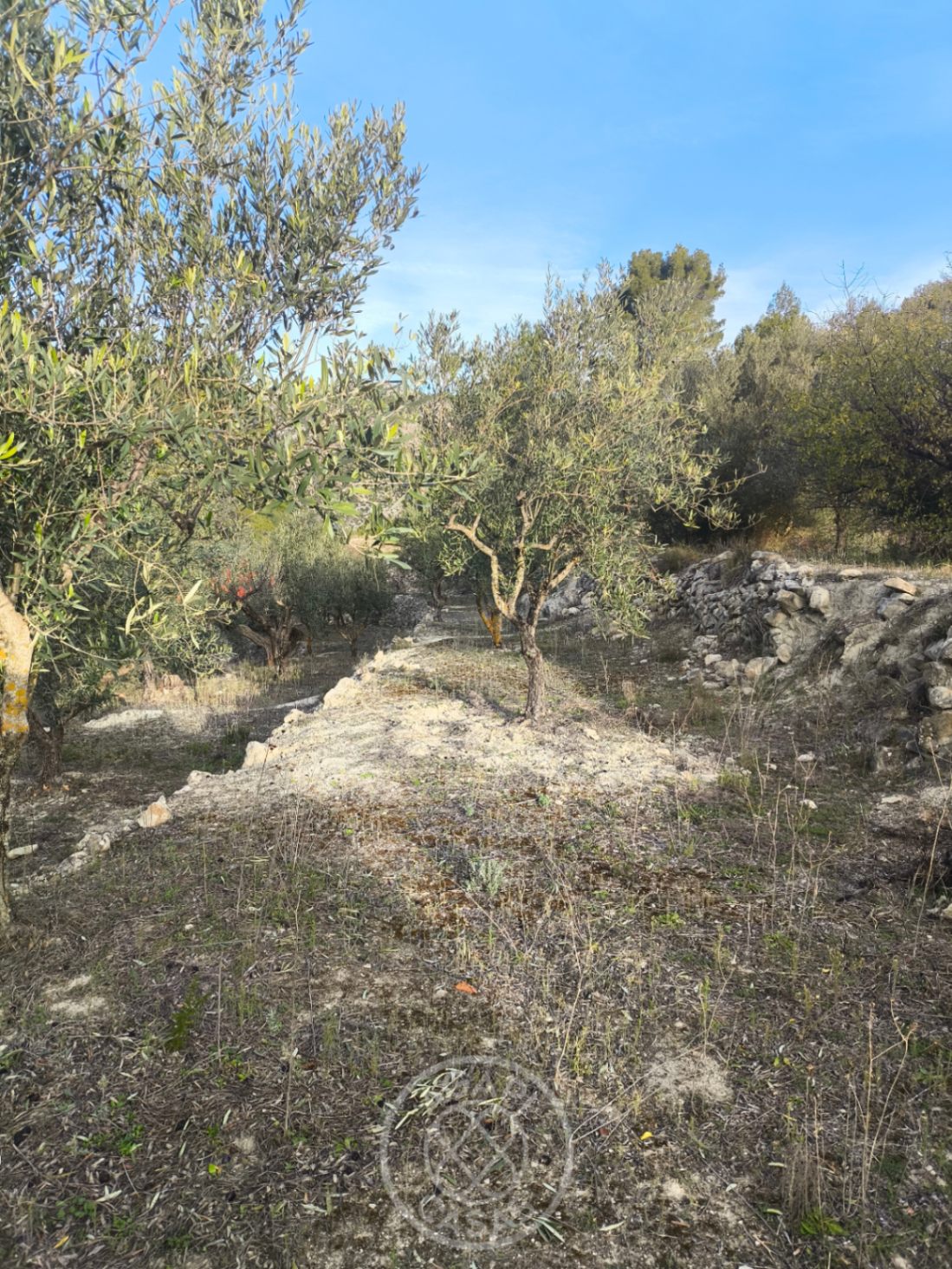 Encantadora Parcela con Casita en Castell de Castells Rodeada de Naturaleza