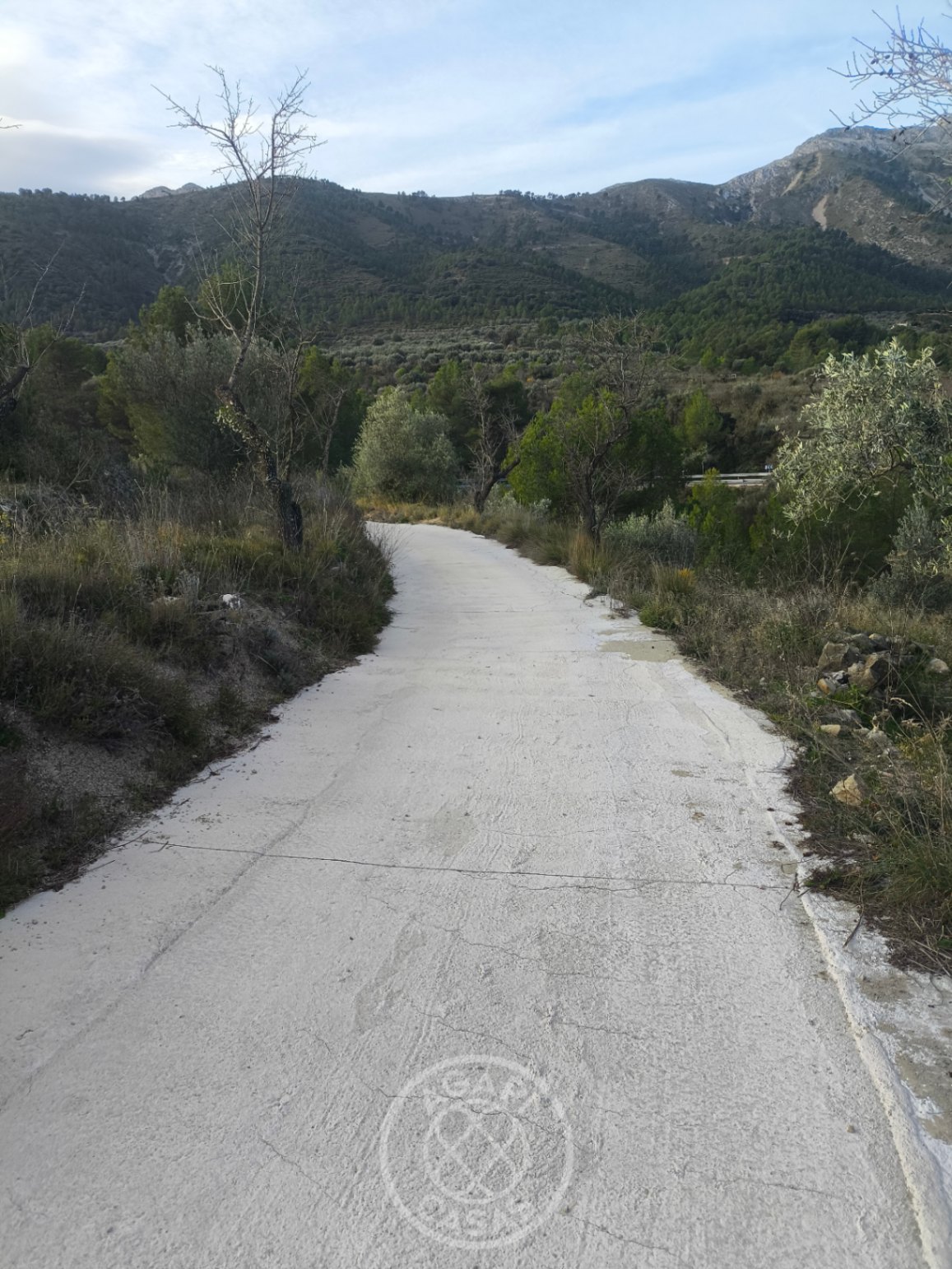 Encantadora Parcela con Casita en Castell de Castells Rodeada de Naturaleza