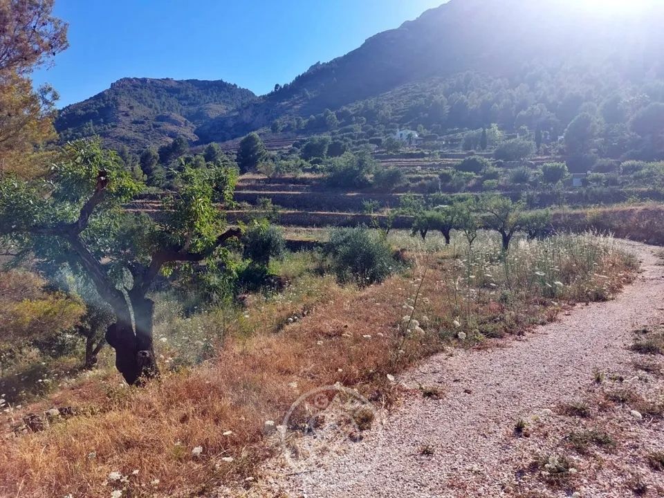 Solar urbano con licencia en Jalon