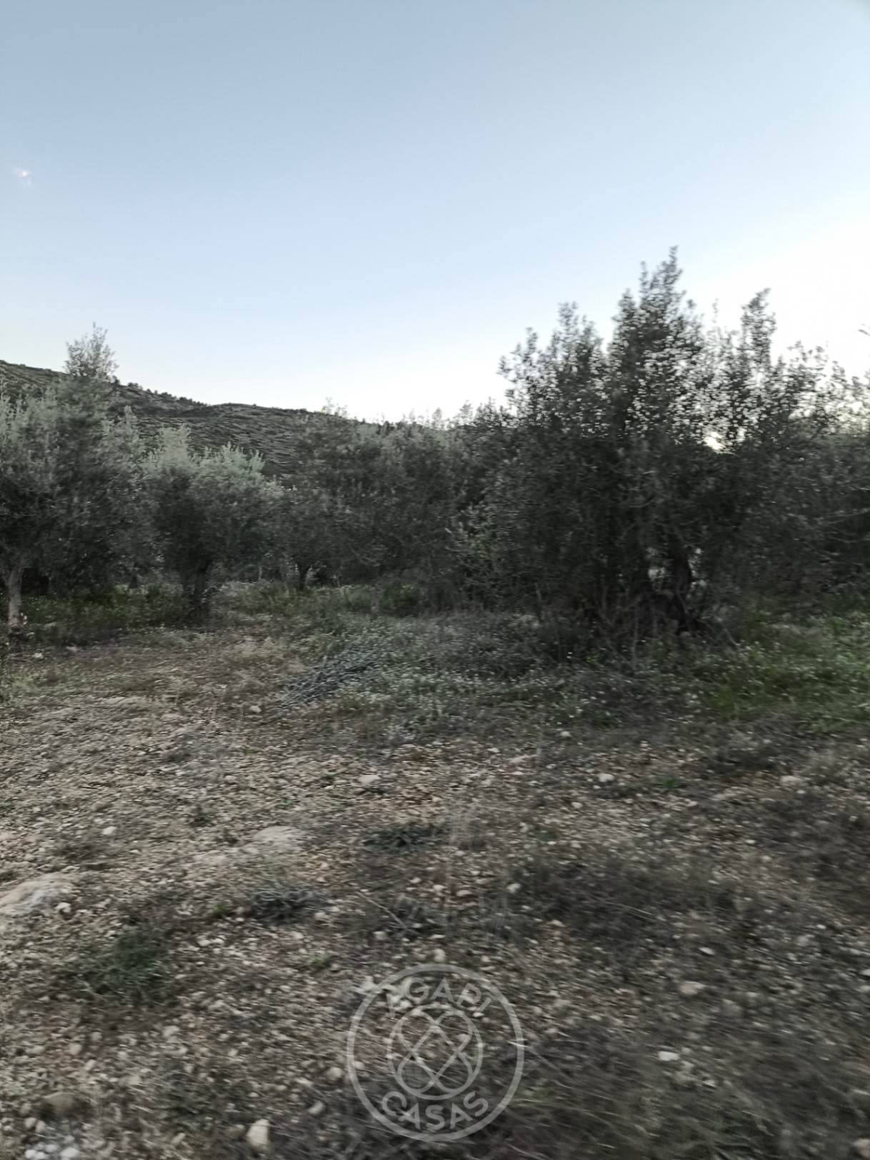 Finca en construcción con encanto tradicional en el valle de Jalón