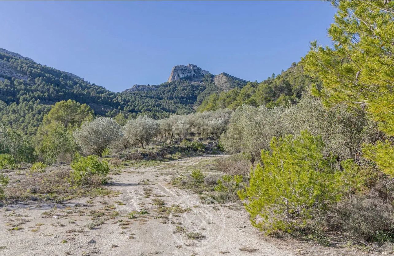 Country house to renovate with spectacular views of Les Arcs in Castell de Castells.