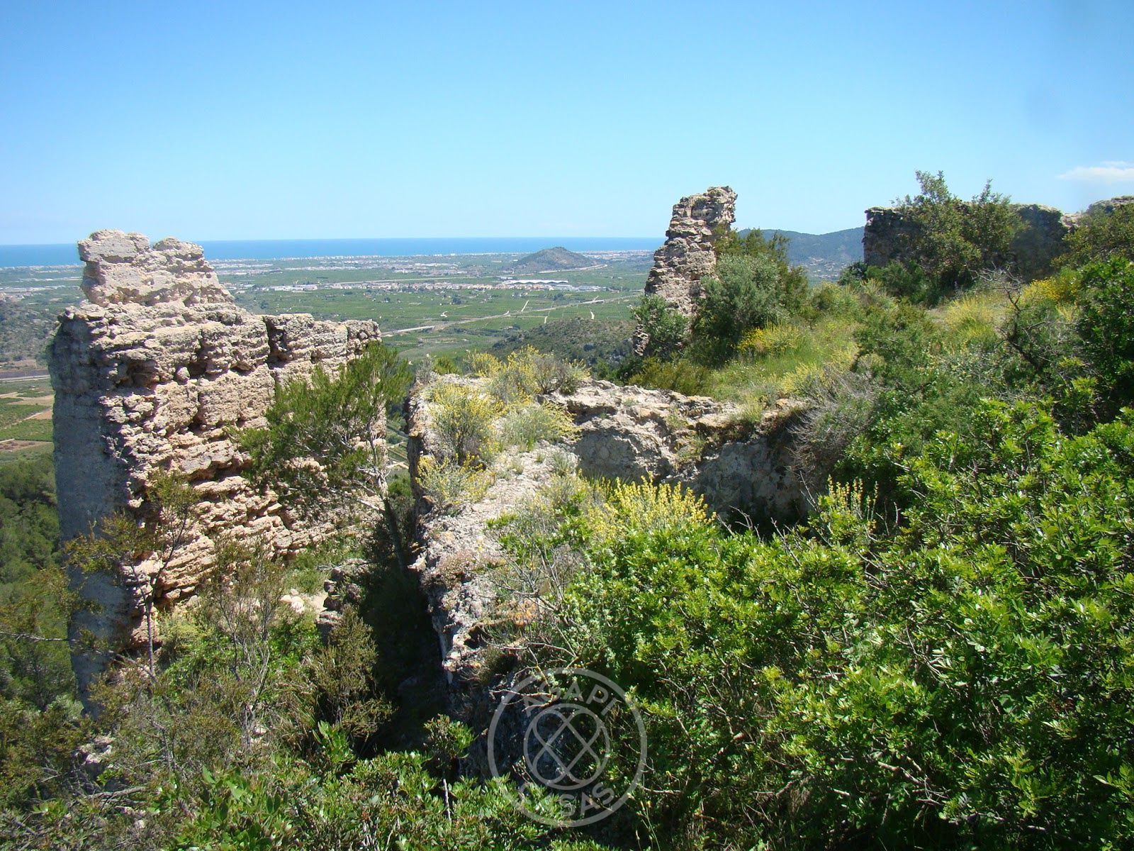 Proyecto de renovación con carácter en Palma de Gandía