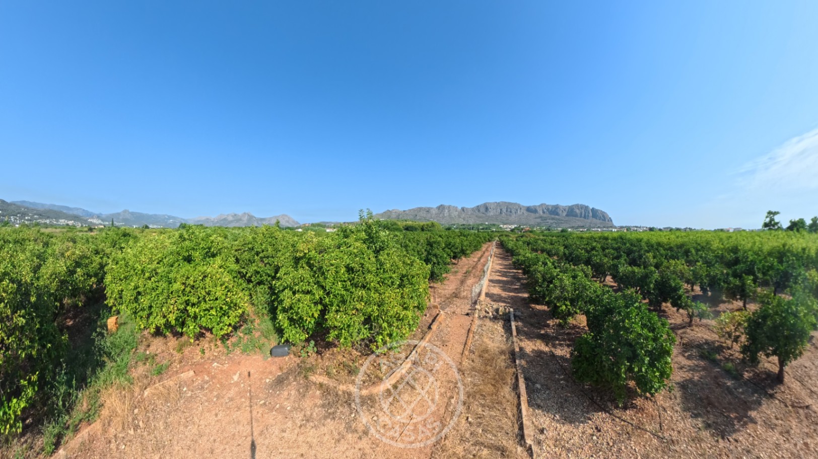 Building land with panoramic views for sale in Beniarbeig – 13,105 m²