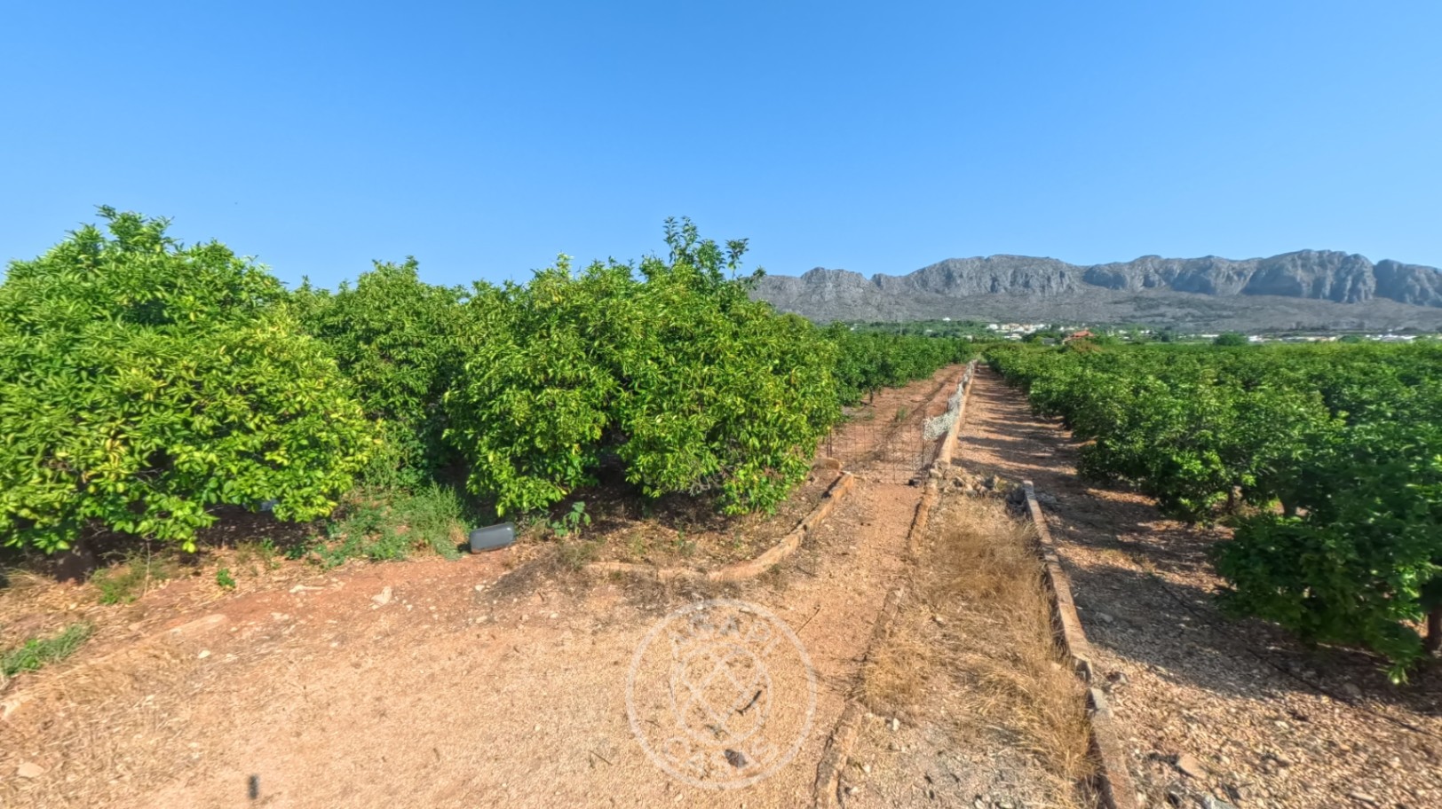 Building land with panoramic views for sale in Beniarbeig – 13,105 m²