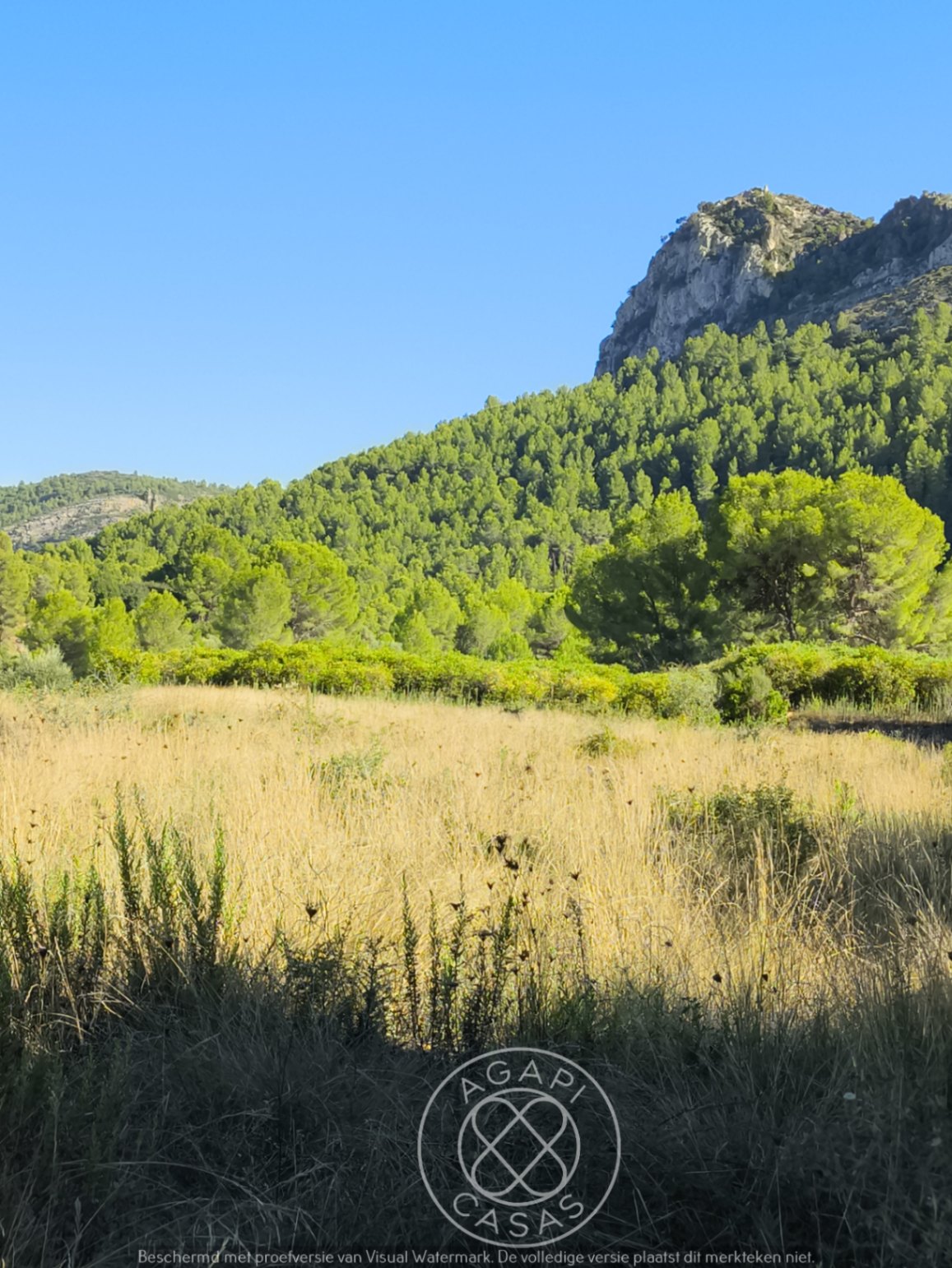 AG26006 - Terrain à vendre à Orba avec vue sur la mer et la montagne.
