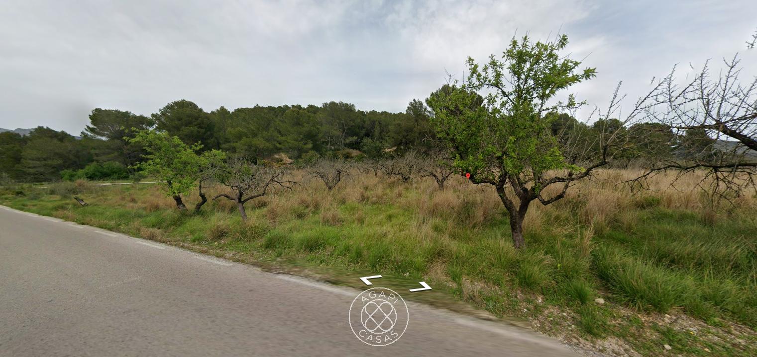 Terrain à vendre à Murla avec possibilité de construire