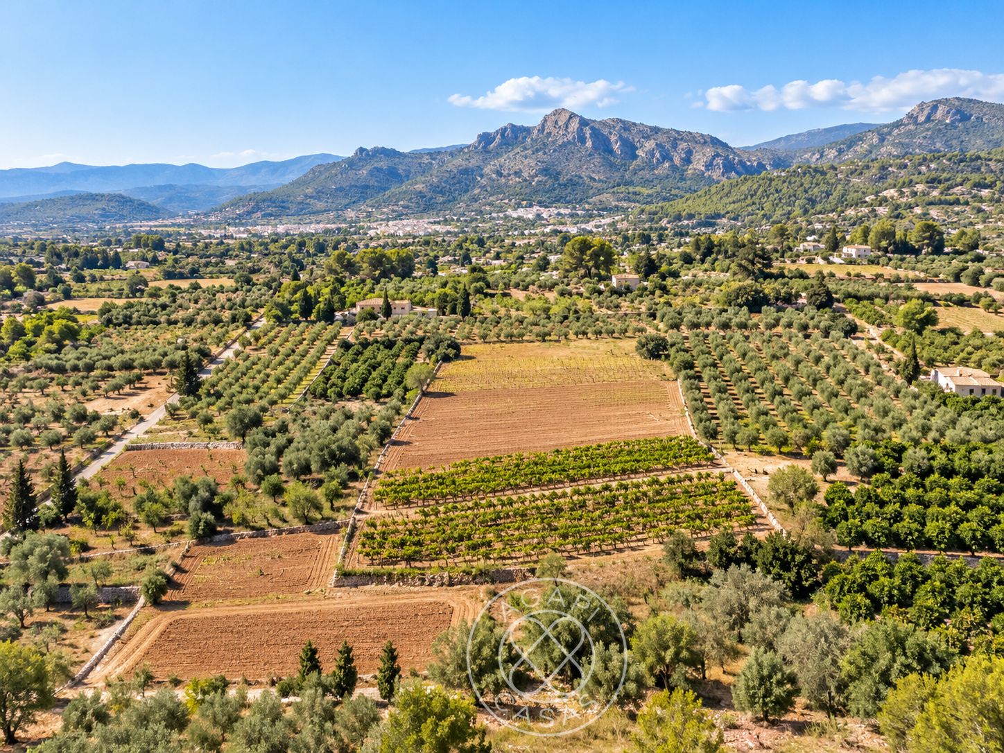AG26075 - Plot of 10,752 m² in La Solana, Xaló