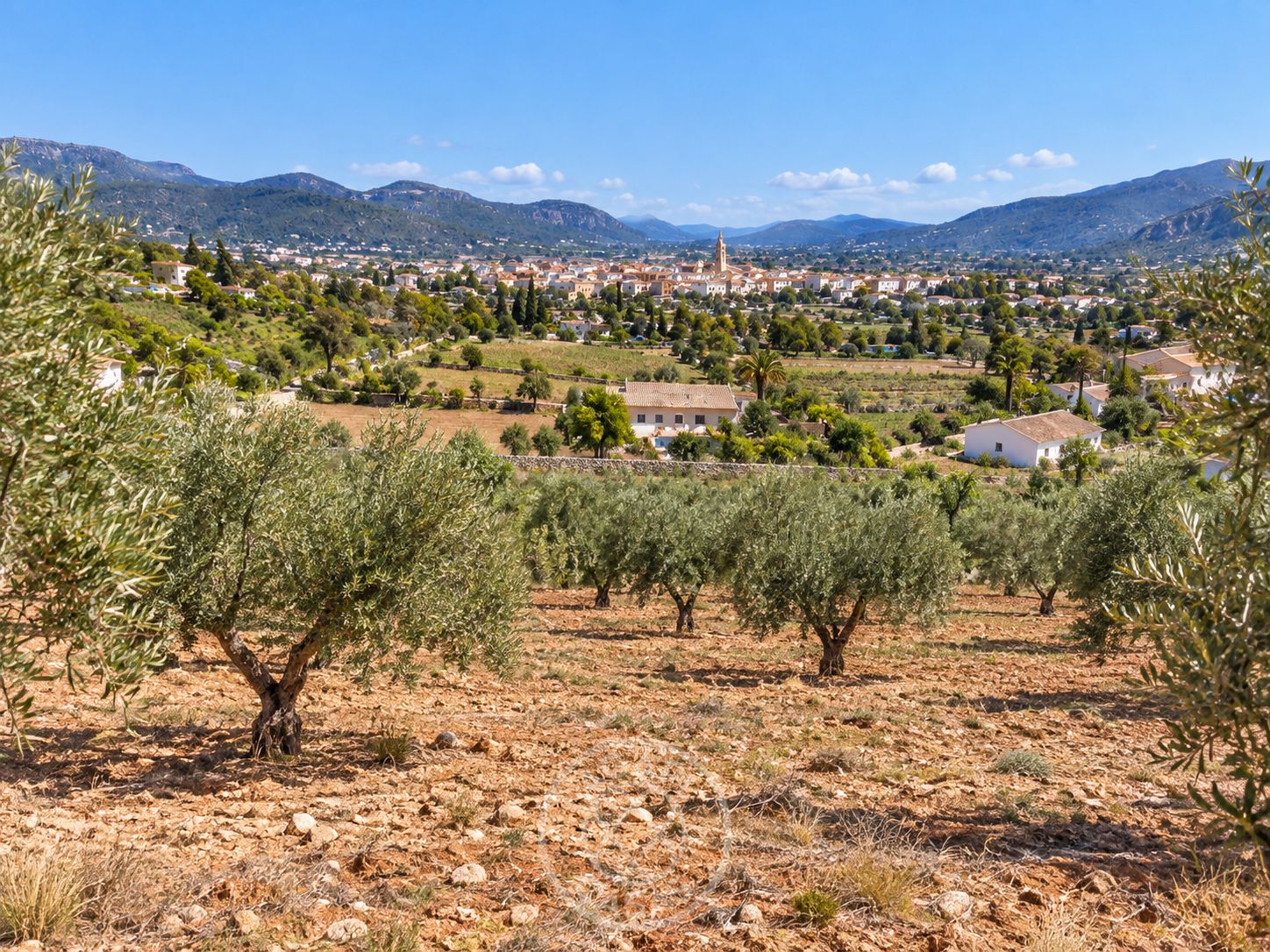 Parcela de 10.717 m² con pozo y casa de madera