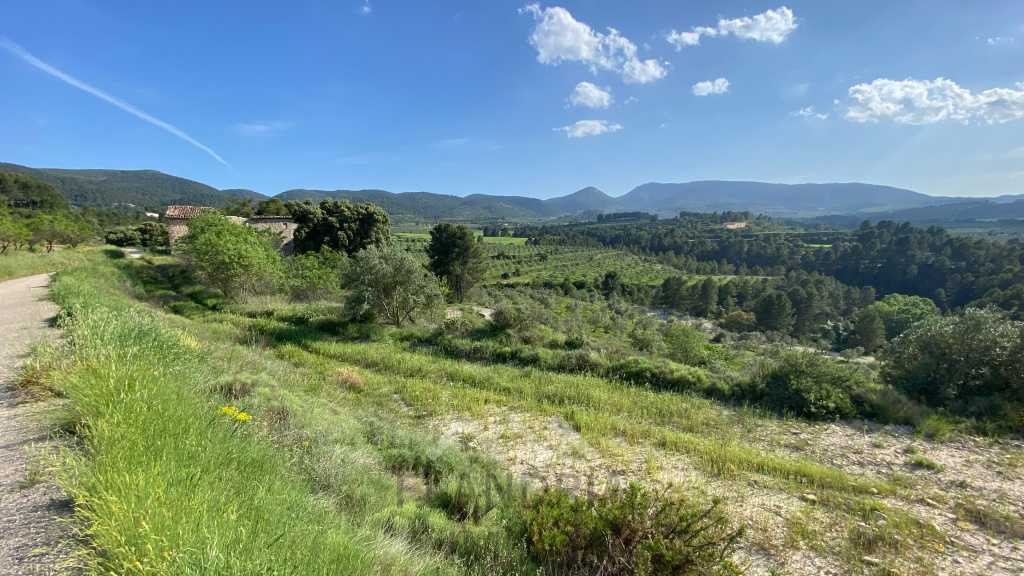 Propiedad Única en Venta en Penàguila – Ideal para Eco-Resort o Retiro de Lujo